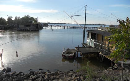 Visita comacchio (2014)