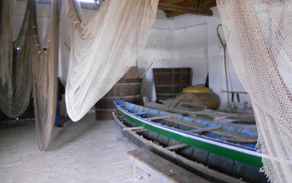 Visita comacchio (2014)