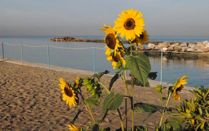 Spiaggia